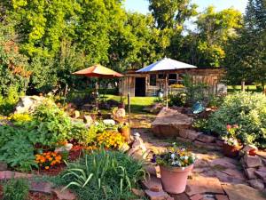 Summer flower garden and shed